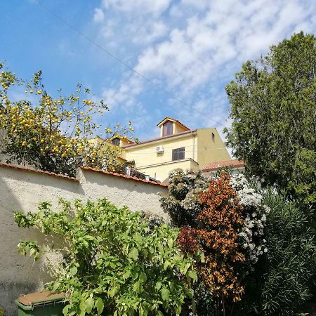 B&B Moscani Salernes Extérieur photo