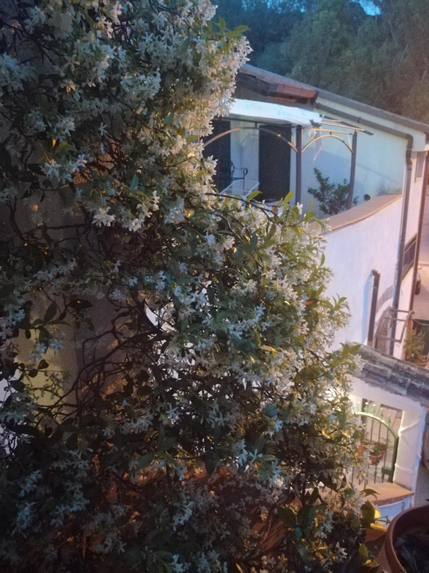 B&B Moscani Salernes Extérieur photo